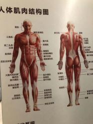 -JC·YOGA静禅瑜伽普拉提