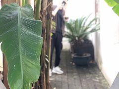 -檀园