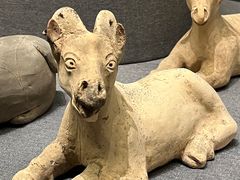 -广西壮族自治区博物馆