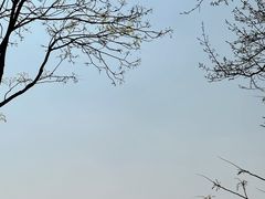 -武昌江滩