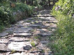 -阳台山自然风景区