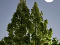 -章太炎故居