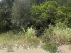 -北岐滩涂
