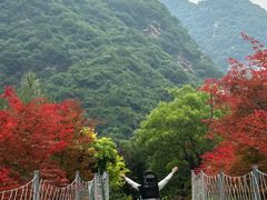 -华山风景名胜区