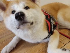 -YCHL Studios健身工作室(市二宫店)