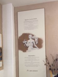 -熙朵美学植发·连锁品牌