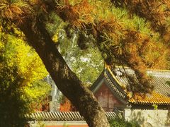 -潭柘寺景区