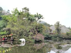-野象谷景区