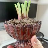 自在人心，