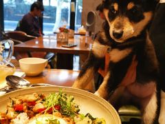 -Ginger(兴国路店)