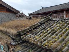 -田德能咖啡博物馆