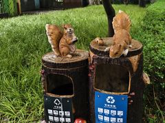 -华山儿童公园