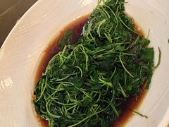 -新聚丰菜馆(太监弄店)