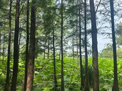 -云龙湖旅游景区