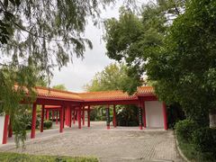 -沙市市中山公园