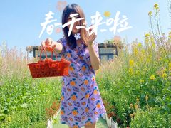 -洪湖家庭农场·团建·露营·会议
