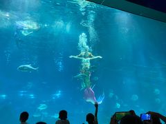 -福州罗源湾海洋世界旅游区