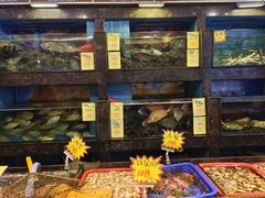 -新金盛·海鲜酒楼(盐田店)