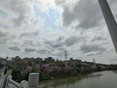 -广东花都湖国家湿地公园