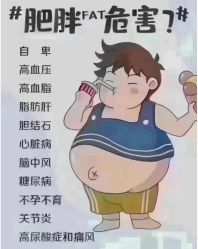 -Fundi张玉珊修身堂·indiba·BTL科技瘦身