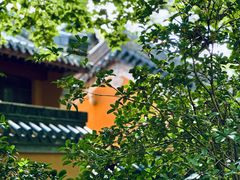 -灵谷景区