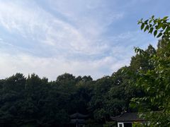 -杭州植物园