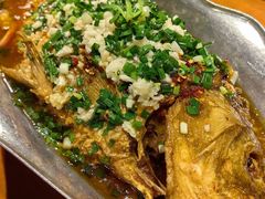 香辣炝锅鱼-树厨贵州菜(铜仁花果山店)
