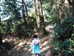 -火炉山森林公园