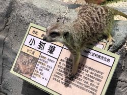 -Zoolung Zoolung动物主题公园(海信广场店)