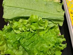 -芦月轩羊蝎子(太平桥店)