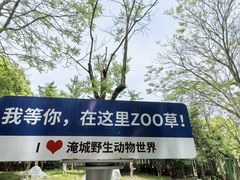 -常州淹城野生动物世界