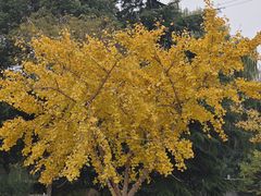 -渭塘酒家(生态园店)