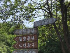 -欢乐松鼠谷