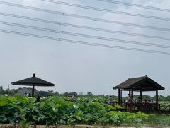 -梁鸿国家湿地公园