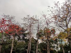 -荔枝公园(福田区)