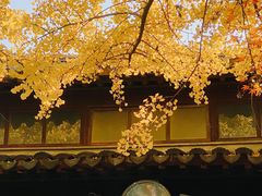 -西园戒幢律寺