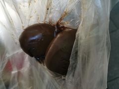 阿婆五香蛋-阿婆五香蛋(水游城店)