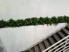 -老黑板筋(顺义总店)
