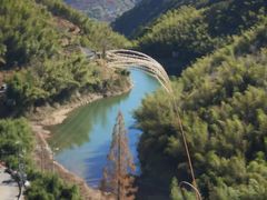 -四明山国家森林公园