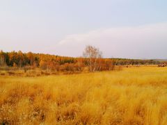 -塞罕坝国家级自然保护区