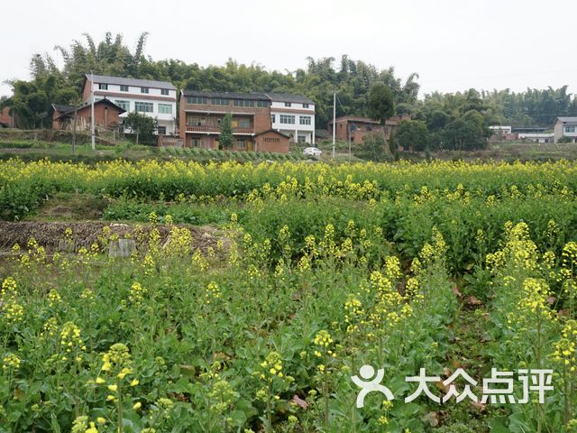 严陵镇中心校