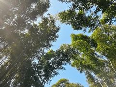 -同里国家湿地公园