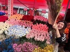 -越秀西湖花市(广州城市广场花卉店)