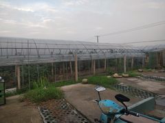 -美家乐农庄·露营·团建(大治路店)