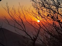 -紫金山山顶公园