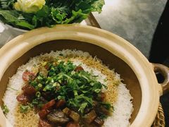 腊味煲仔饭-百年果林椰子鸡(中洲店)