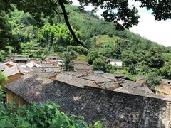 -杨家堂村