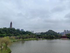 -顺峰山公园