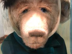 景点-济州岛泰迪熊博物馆