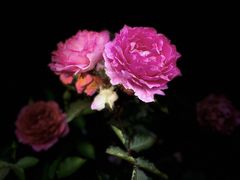 -人民公园(罗湖区)